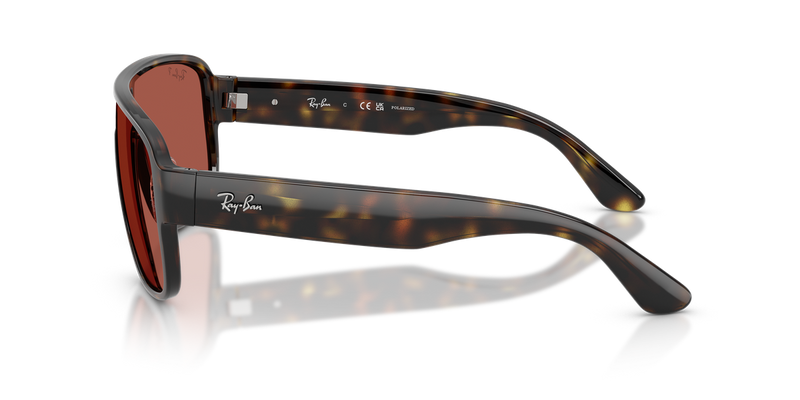Ray-Ban RB2229 in Havana - Alternate View