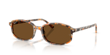 Havana Brown Grey / Brown Polarized (135757)