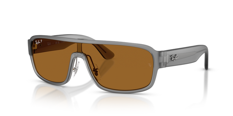 Ray-Ban RB2233 in Grey - Alternate View