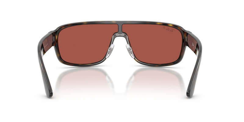Ray-Ban RB2233 in Havana - Alternate View