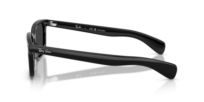 Ray-Ban BRUNEL in Black - Alternate View