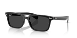 Black / Polarized Black (901/48)