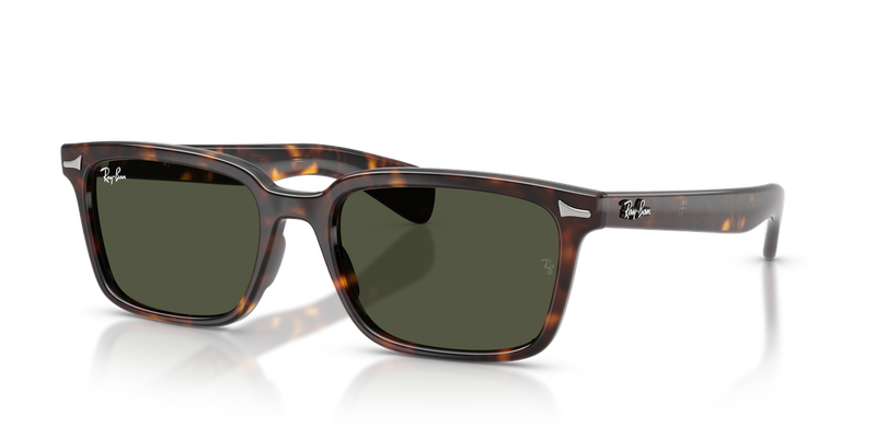 Ray-Ban BRUNEL in Havana - Alternate View