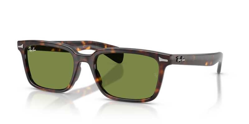 Ray-Ban BRUNEL in Havana - Alternate View