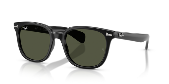 Ray-Ban BRUNEL II - Black / Green (901/31)