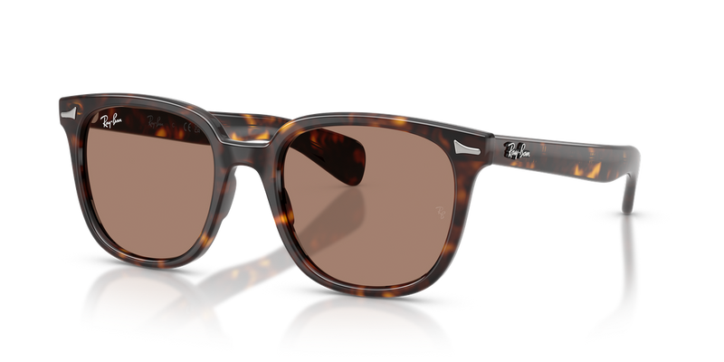 Ray-Ban BRUNEL II in Havana - Alternate View