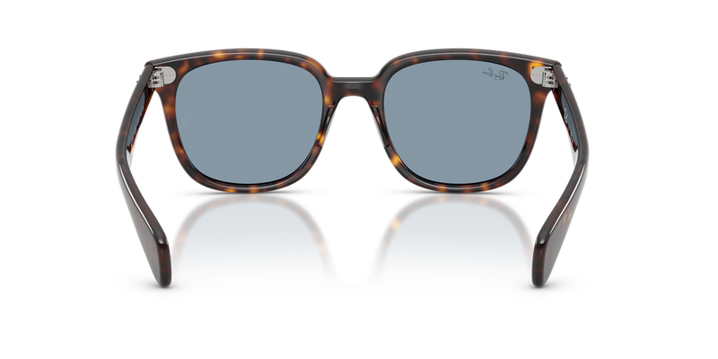 Ray-Ban BRUNEL II in Havana - Alternate View