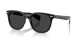 Black / Polarized Black (901/48)