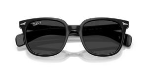 Black / Polarized Black (901/48)