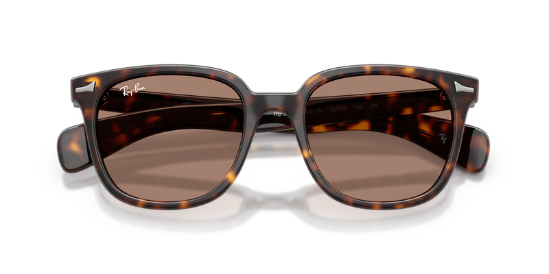 Ray-Ban BRUNEL II in Havana - Alternate View