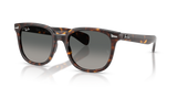 Havana / Light Grey Gradient Dark Grey (902/71)