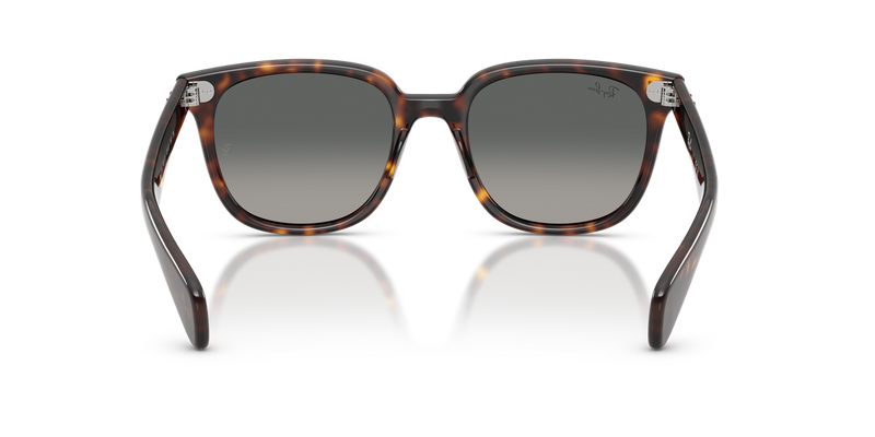 Ray-Ban BRUNEL II in Havana - Alternate View