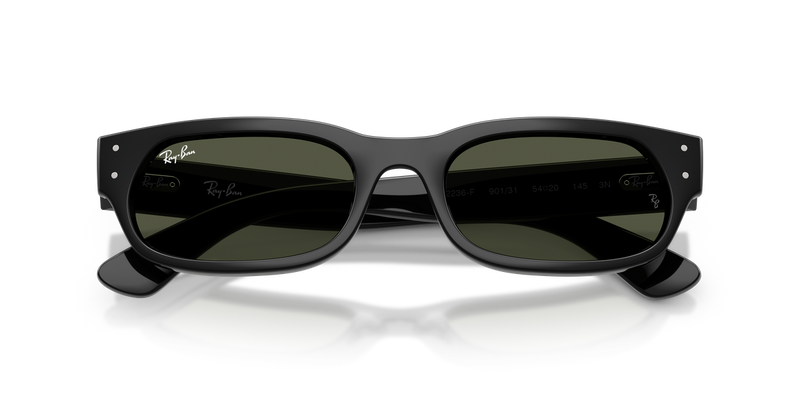 Ray-Ban RB2236F in Black - Alternate View