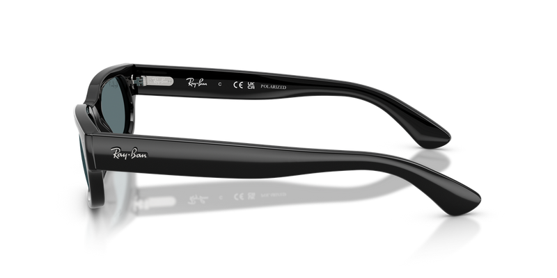 Ray-Ban RB2236F in Black - Alternate View