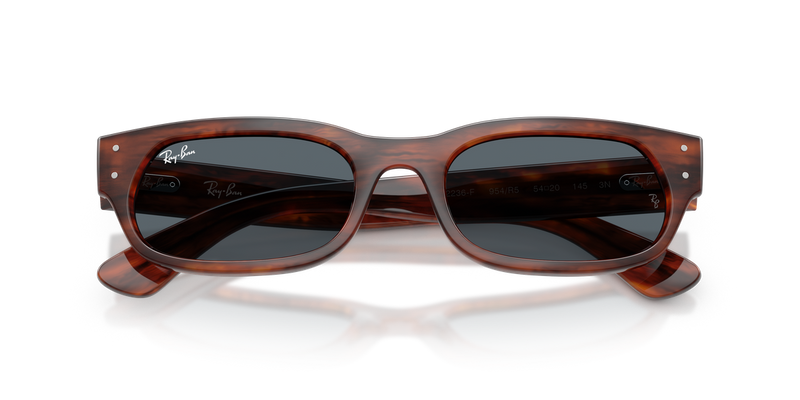 Ray-Ban RB2236F in Striped Havana - Alternate View