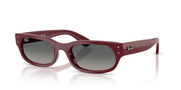 Ray-Ban RB2236