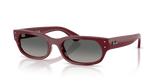 Bordeaux / Light Grey Gradient Dark Grey (689971)
