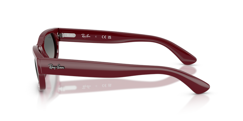 Ray-Ban RB2236 in Bordeaux - Back View