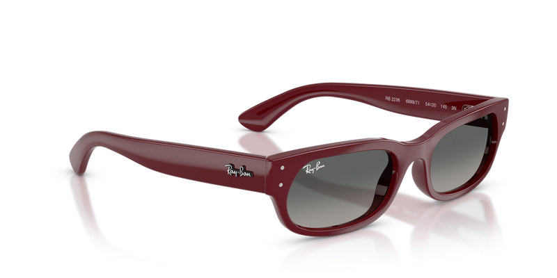 Ray-Ban RB2236 in Bordeaux - Alternate View