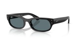 Black / Polarized Black (901/48)
