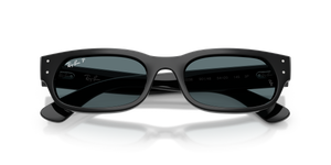 Black / Polarized Black (901/48)