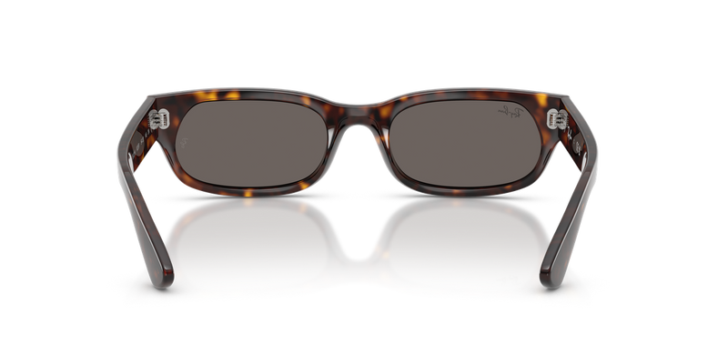 Ray-Ban RB2236 in Havana - Alternate View
