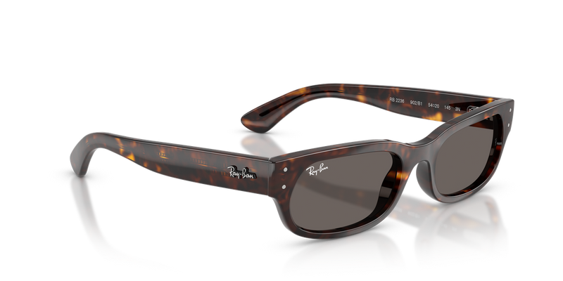 Ray-Ban RB2236 in Havana - Alternate View