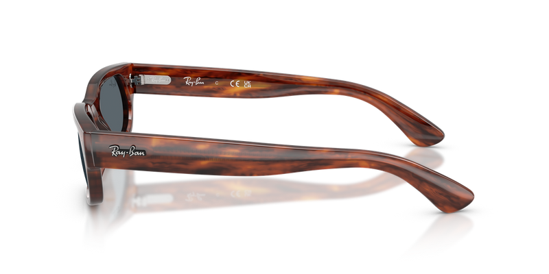 Ray-Ban RB2236 in Striped Havana - Alternate View