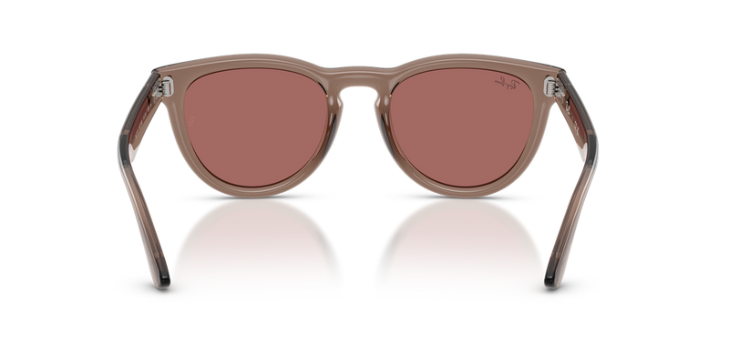 Ray-Ban RB2237 in Transparent Light Brown - Temple Detail