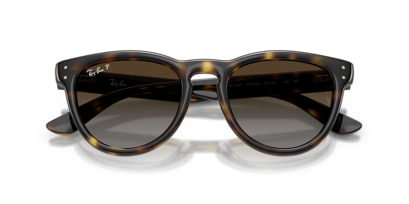 Ray-Ban RB2237 in Havana - Alternate View