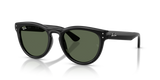 Black / Dark Green (901/71)