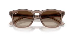 Transparent Light Brown / Light Brown Gradient Dark Brow (682713)