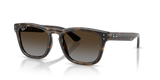 Havana / Polarized Light Grey Gradient Brow (710/T5)