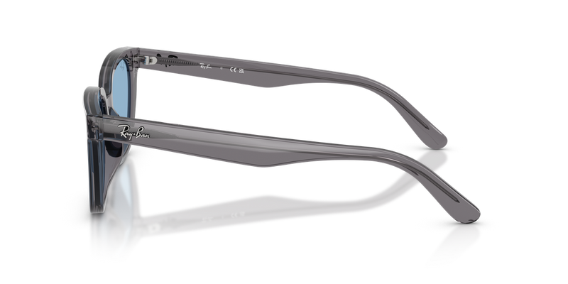 Ray-Ban RB2243D in Transparent Grey - Back View
