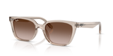 Transparent Light Brown / Light Brown Gradient Dark Brow (682713)