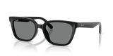 Black / Dark Grey (901/87)