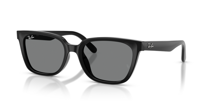 Ray-Ban RB2243D in Black - Alternate View