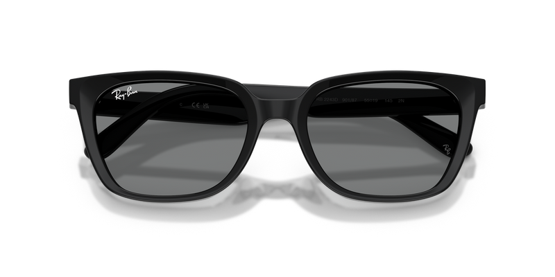Ray-Ban RB2243D in Black - Alternate View