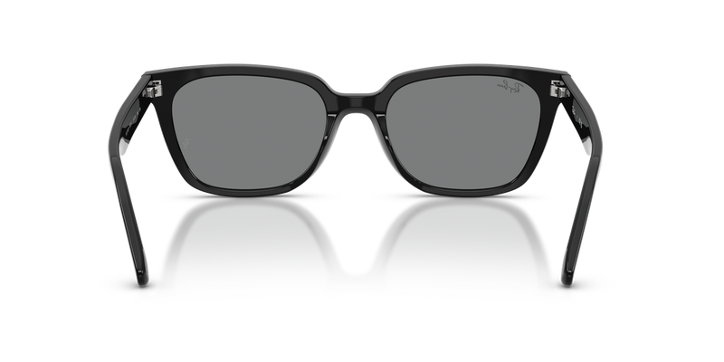 Ray-Ban RB2243D in Black - Alternate View