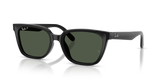 Black / Polarized Dark Green (901/9A)