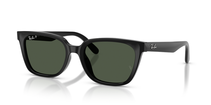 Ray-Ban RB2243D in Black - Alternate View