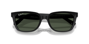 Black / Polarized Dark Green (901/9A)
