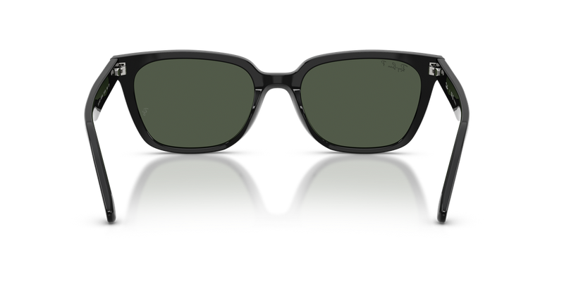 Ray-Ban RB2243D in Black - Alternate View