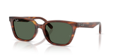 Striped Havana / Dark Green (954/71)