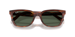 Striped Havana / Dark Green (954/71)