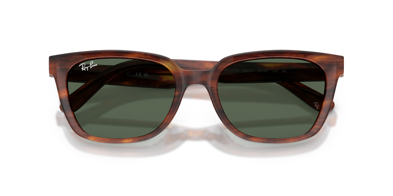 Ray-Ban RB2243D in Striped Havana - Alternate View