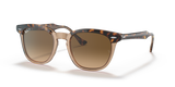 Havana On Transparent Brown / Brown Polarized (1292M2)