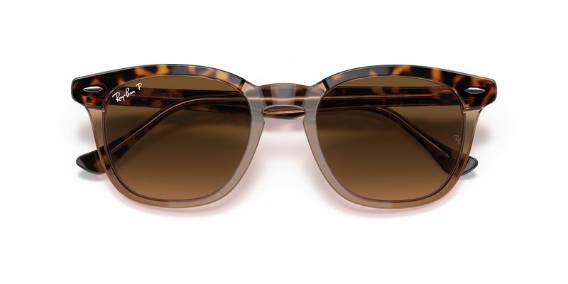 Ray-Ban HAWKEYE in Havana On Transparent Brown - Side View