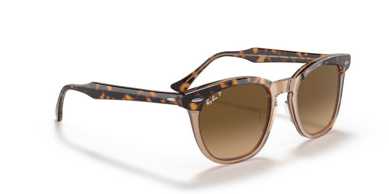 Ray-Ban HAWKEYE in Havana On Transparent Brown - Alternate View