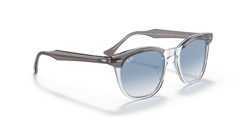 Ray-Ban HAWKEYE in Grey On Transparent - Alternate View